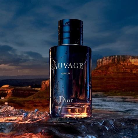 dior sauvage 200 ml idealo|dior sauvage price usa.